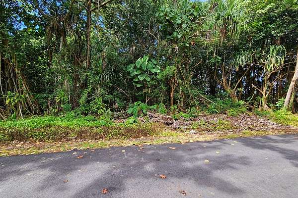 0.23 Acres of Residential Land for Sale in Pahoa, Hawaii