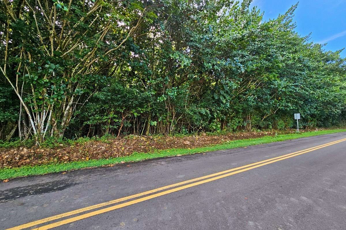 0.28 Acres of Residential Land for Sale in Pahoa, Hawaii