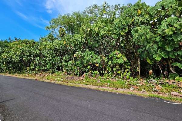 0.22 Acres of Residential Land for Sale in Pahoa, Hawaii