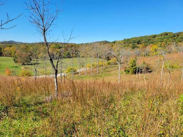 15.4 Acres of Land for Sale in London, Kentucky