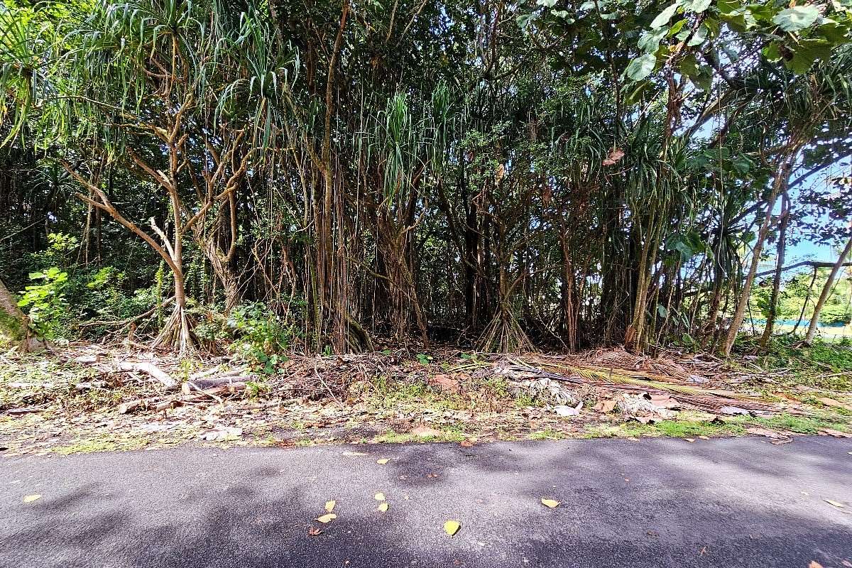 0.22 Acres of Residential Land for Sale in Pahoa, Hawaii