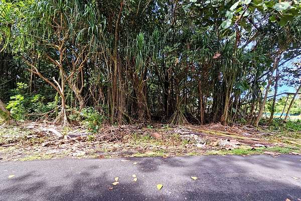 0.22 Acres of Residential Land for Sale in Pahoa, Hawaii