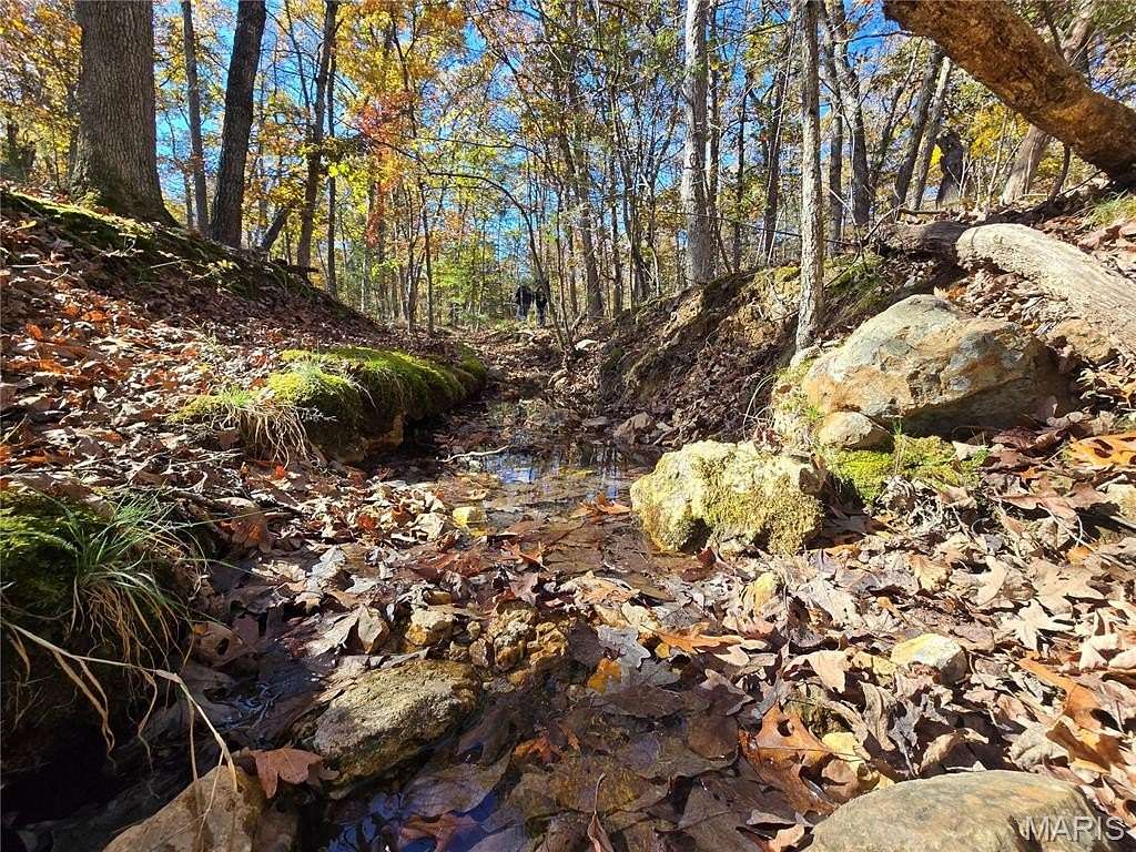 107 Acres of Land for Sale in Doe Run, Missouri