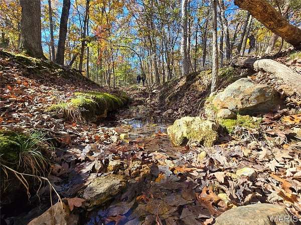 107 Acres of Land for Sale in Doe Run, Missouri