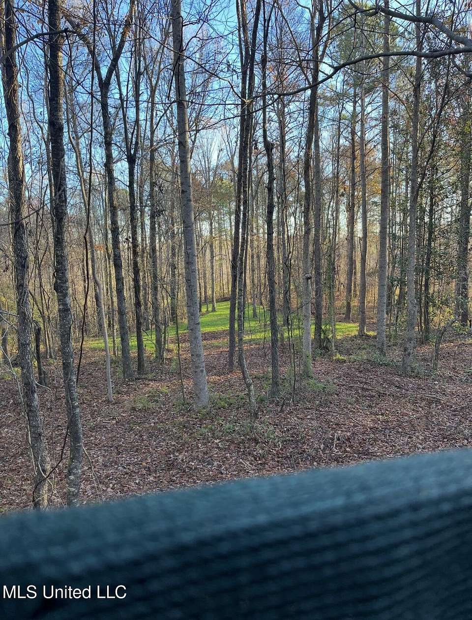 32 Acres of Recreational Land for Sale in Hazlehurst, Mississippi