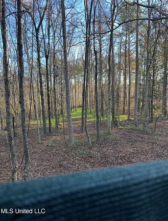 32 Acres of Recreational Land for Sale in Hazlehurst, Mississippi