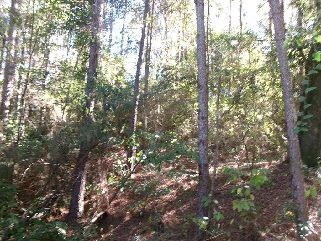 1 Acre of Residential Land for Sale in Carriere, Mississippi