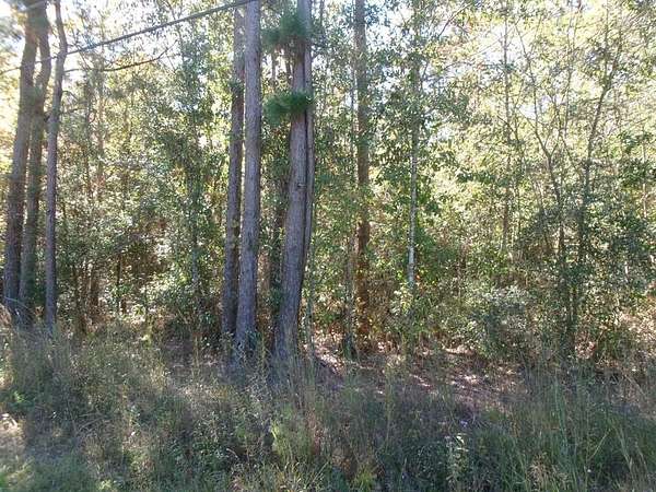 3.62 Acres of Residential Land for Sale in Picayune, Mississippi