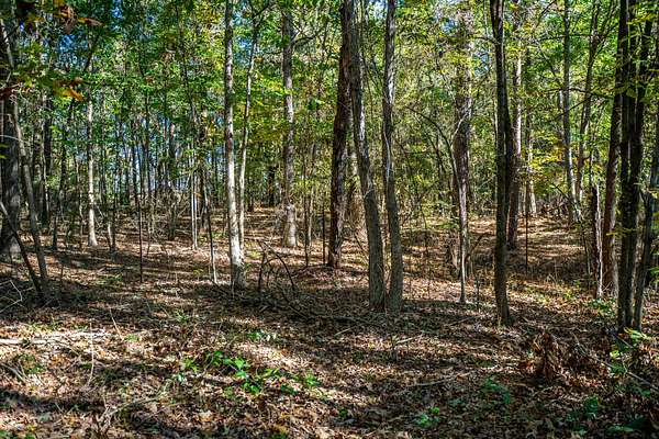 8 Acres of Residential Land for Sale in Daingerfield, Texas