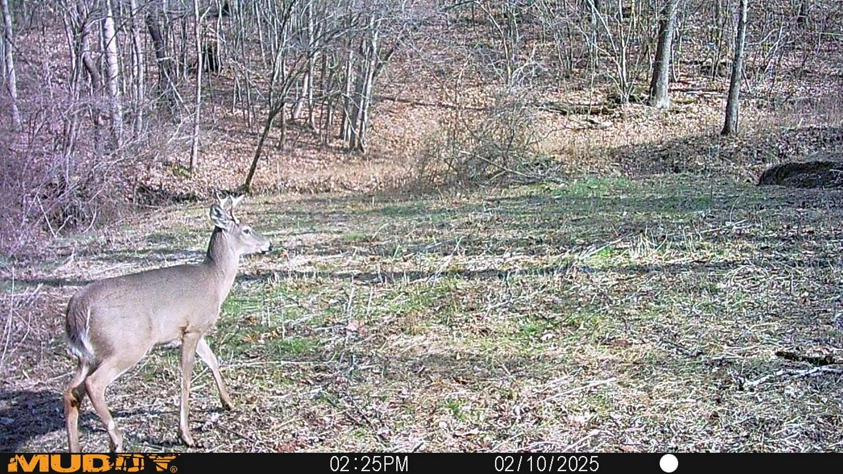 5.63 Acres of Residential Land for Sale in Frazeysburg, Ohio