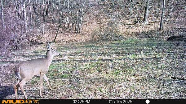 5.63 Acres of Residential Land for Sale in Frazeysburg, Ohio