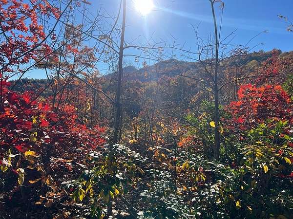 3 Acres of Land for Sale in Almond, North Carolina