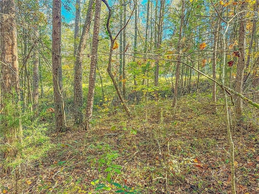 1.1 Acres of Residential Land for Sale in Martin, Georgia