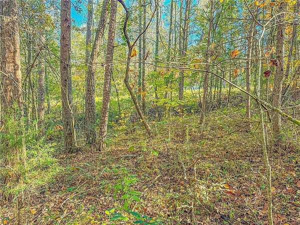 1.1 Acres of Residential Land for Sale in Martin, Georgia