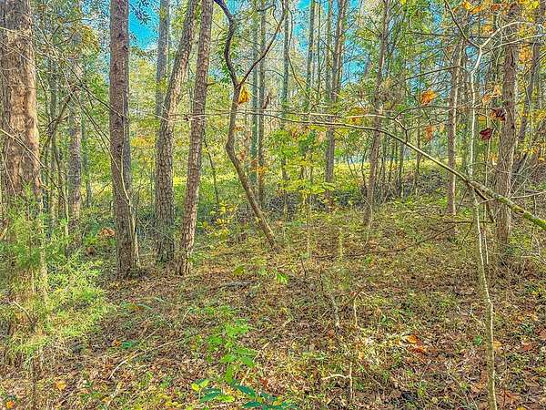 1.1 Acres of Residential Land for Sale in Martin, Georgia