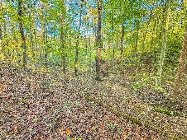 1.22 Acres of Residential Land for Sale in Toccoa, Georgia