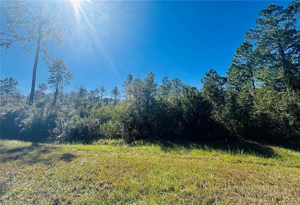 1 Acre of Residential Land for Sale in Hawthorne, Florida