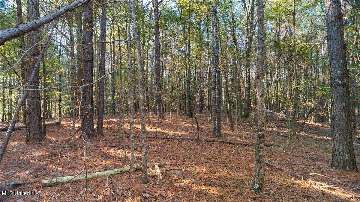 5.3 Acres of Land for Sale in Forest, Mississippi