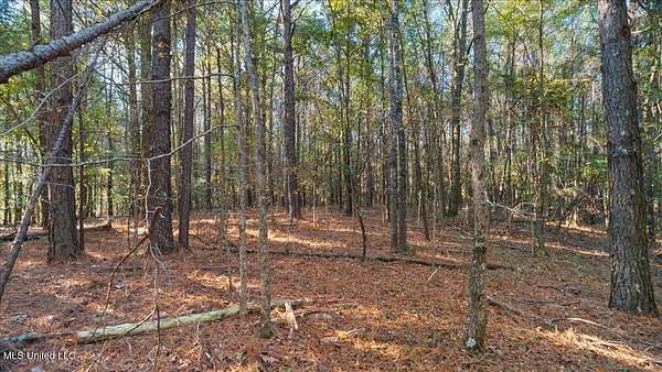 5.3 Acres of Land for Sale in Forest, Mississippi