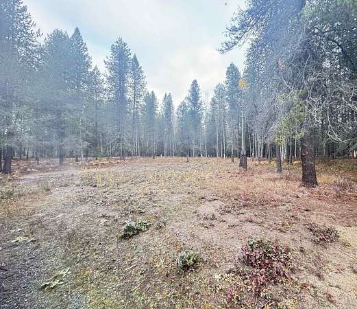 5.43 Acres of Land for Sale in Ione, Washington