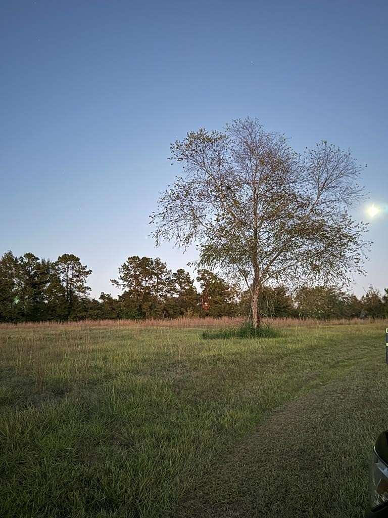 3 Acres of Residential Land for Sale in Carriere, Mississippi