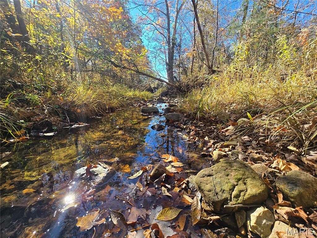 42 Acres of Land for Sale in Bismarck, Missouri