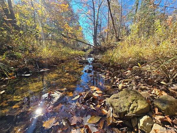 42 Acres of Land for Sale in Bismarck, Missouri