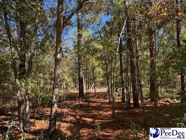 1.47 Acres of Residential Land for Sale in Lydia, South Carolina