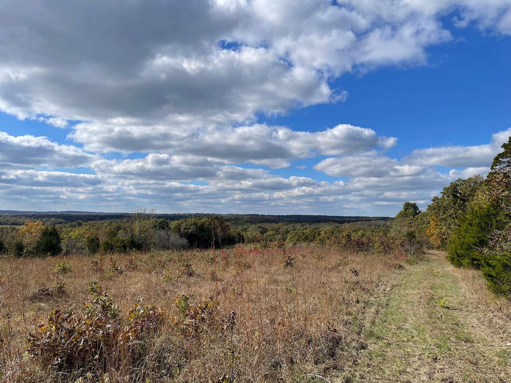 108 Acres of Recreational Land & Farm for Sale in Richland, Missouri