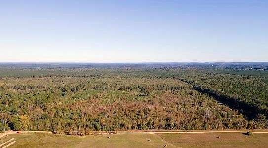 40 Acres of Recreational Land for Sale in Ashdown, Arkansas