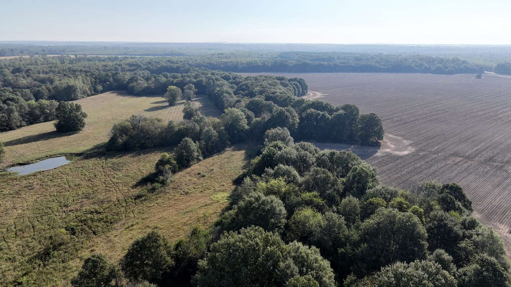 237 Acres of Recreational Land & Farm for Sale in Starkville, Mississippi