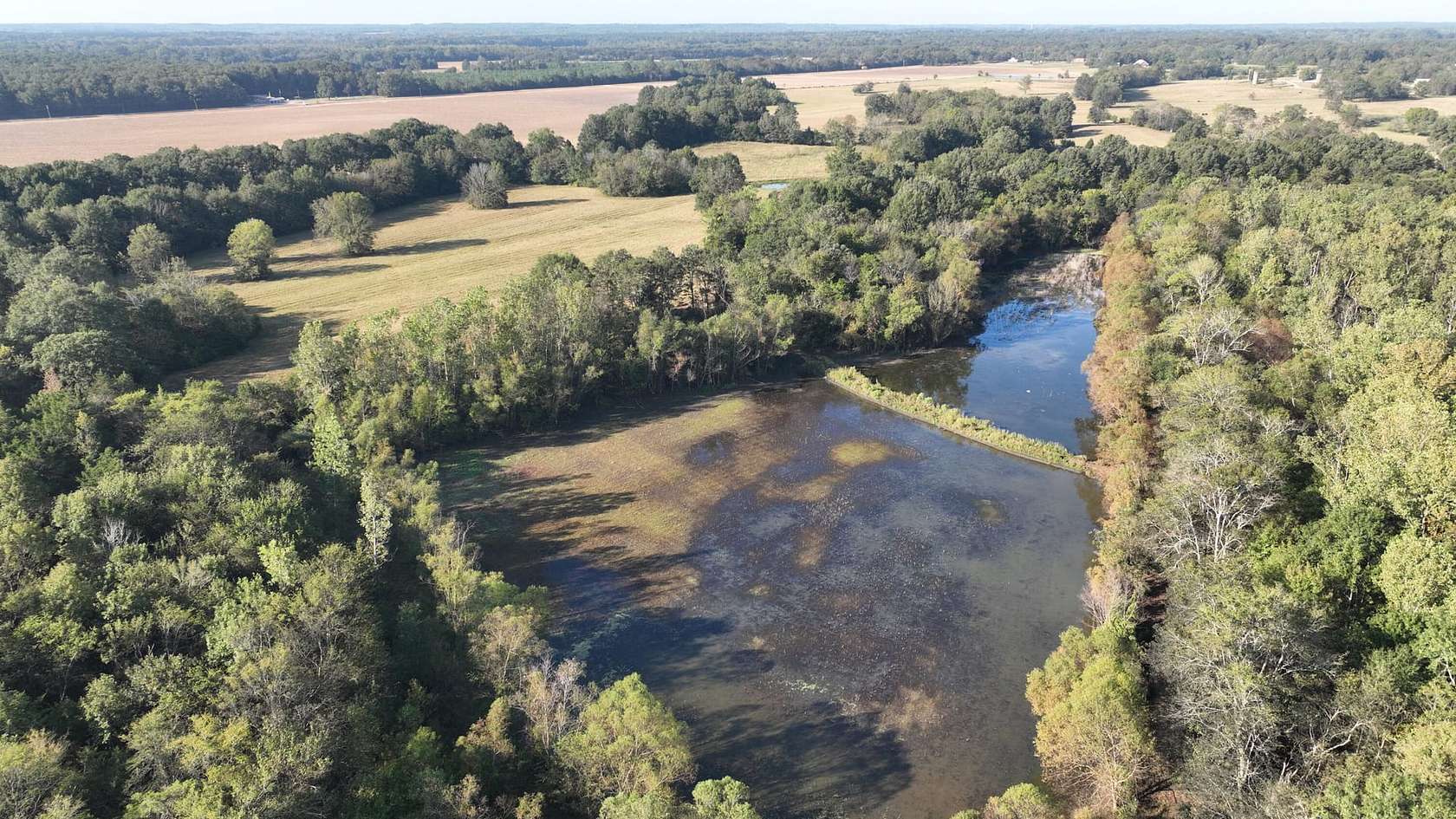 277 Acres of Recreational Land for Sale in Starkville, Mississippi