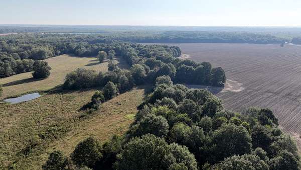 237 Acres of Recreational Land & Farm for Sale in Starkville, Mississippi