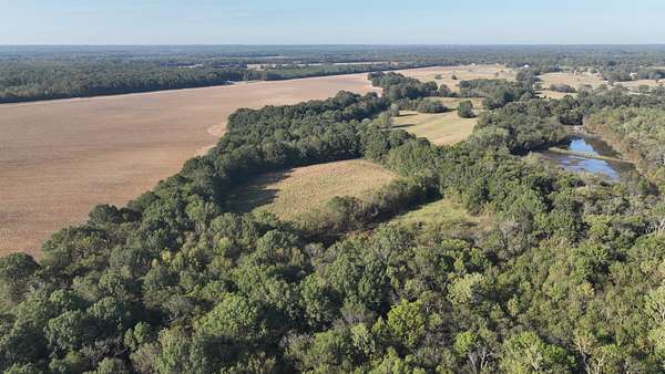 217 Acres of Recreational Land & Farm for Sale in Starkville, Mississippi