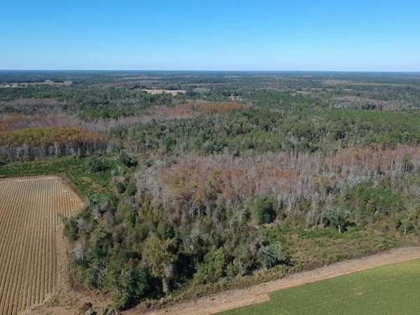 124 Acres of Recreational Land & Farm for Sale in Leary, Georgia
