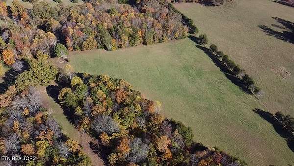 15 Acres of Land for Sale in Madisonville, Tennessee