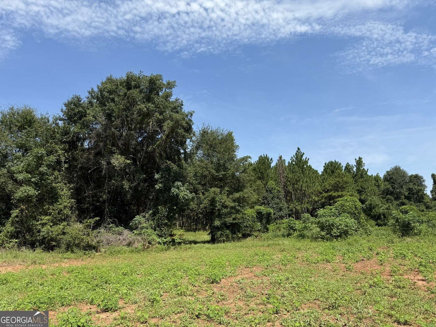 57 Acres of Recreational Land & Farm for Sale in Lumpkin, Georgia