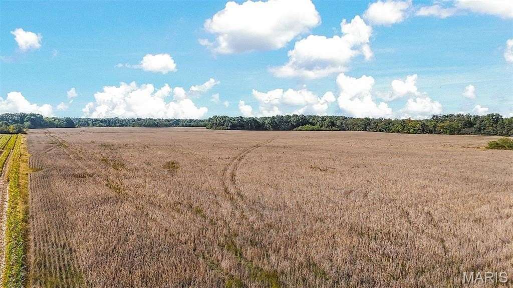 77.3 Acres of Recreational Land & Farm for Sale in Rush Hill, Missouri