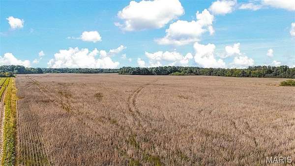 77.3 Acres of Recreational Land & Farm for Sale in Rush Hill, Missouri