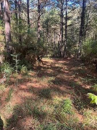 27.5 Acres of Land for Sale in Taylorsville, Mississippi