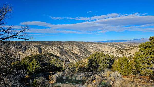 9.85 Acres of Land for Sale in Duchesne, Utah