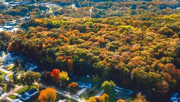 12.5 Acres of Land for Sale in Harrison, Michigan