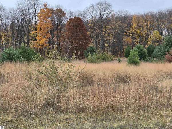 4.7 Acres of Residential Land for Sale in Alden, Michigan