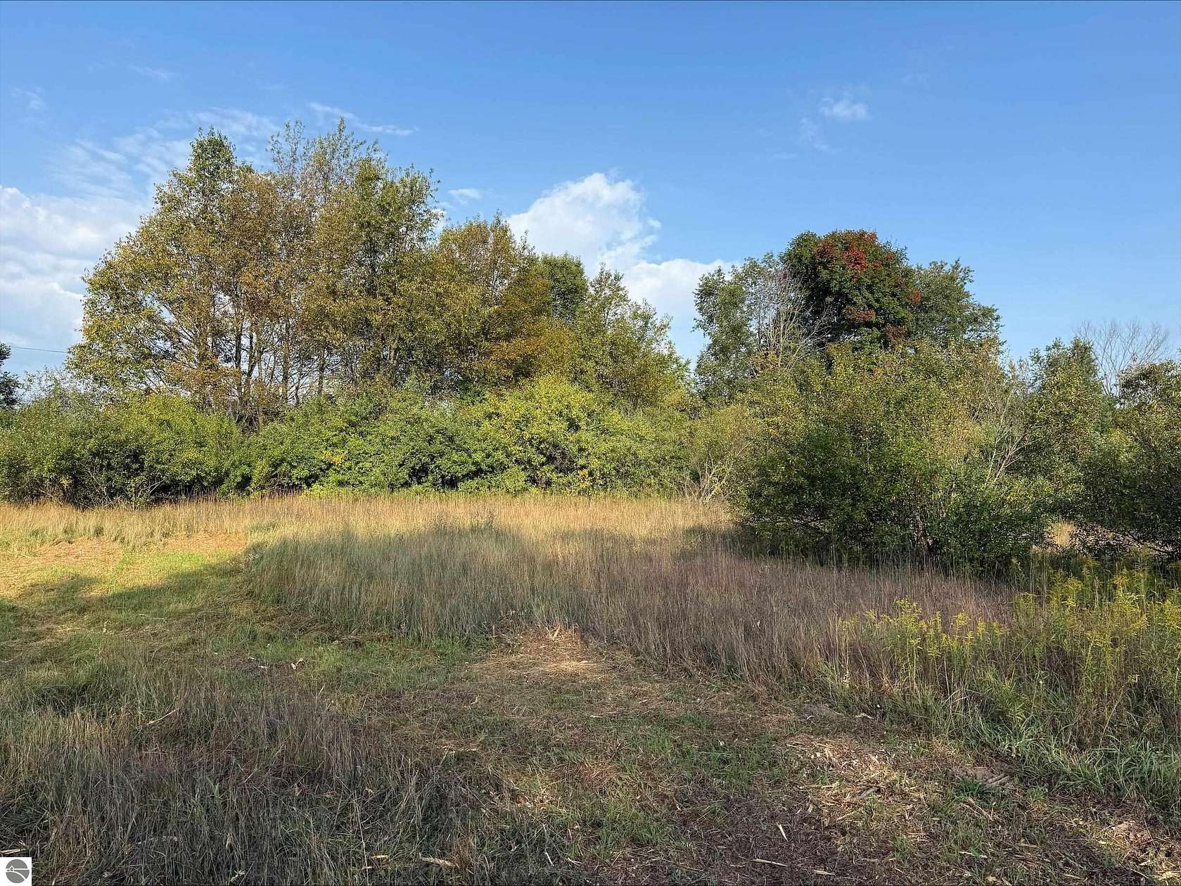 10 Acres of Recreational & Residential Land for Sale in Maple City, Michigan