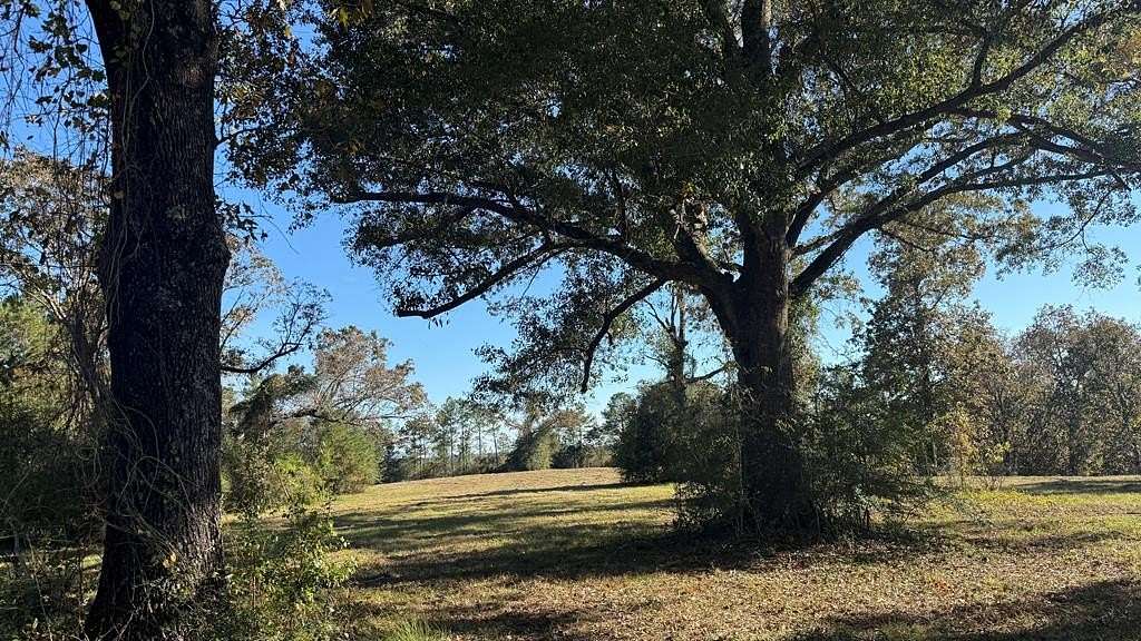 21.8 Acres of Recreational Land & Farm for Sale in Poplarville, Mississippi