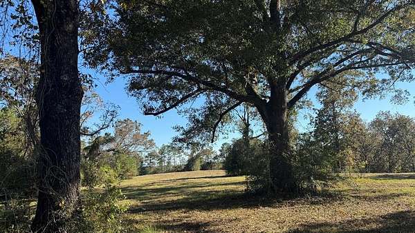 21.8 Acres of Recreational Land & Farm for Sale in Poplarville, Mississippi