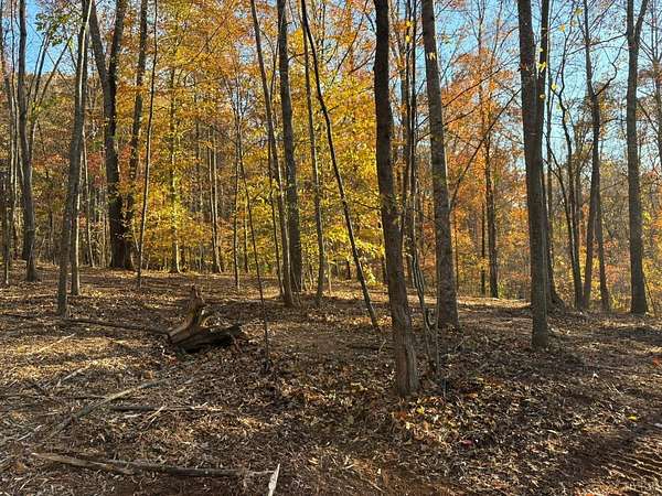 15.3 Acres of Land for Sale in Amherst, Virginia