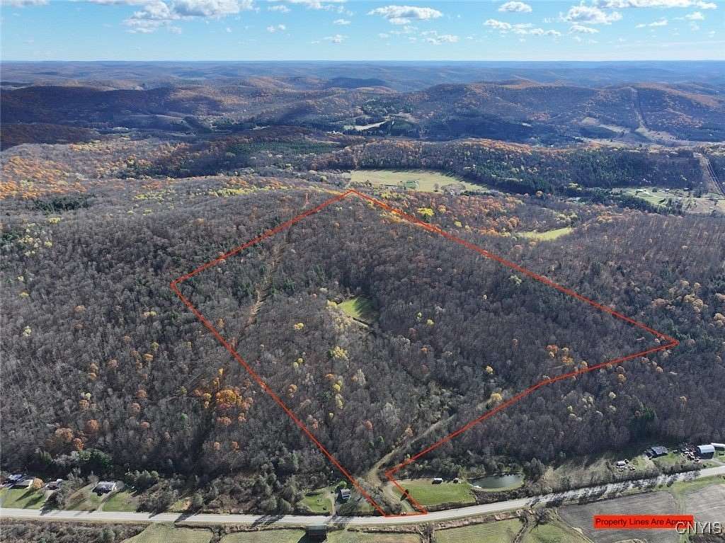 64 Acres of Recreational Land for Sale in Cuba, New York