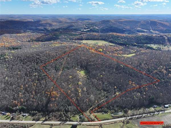 64 Acres of Recreational Land for Sale in Cuba, New York