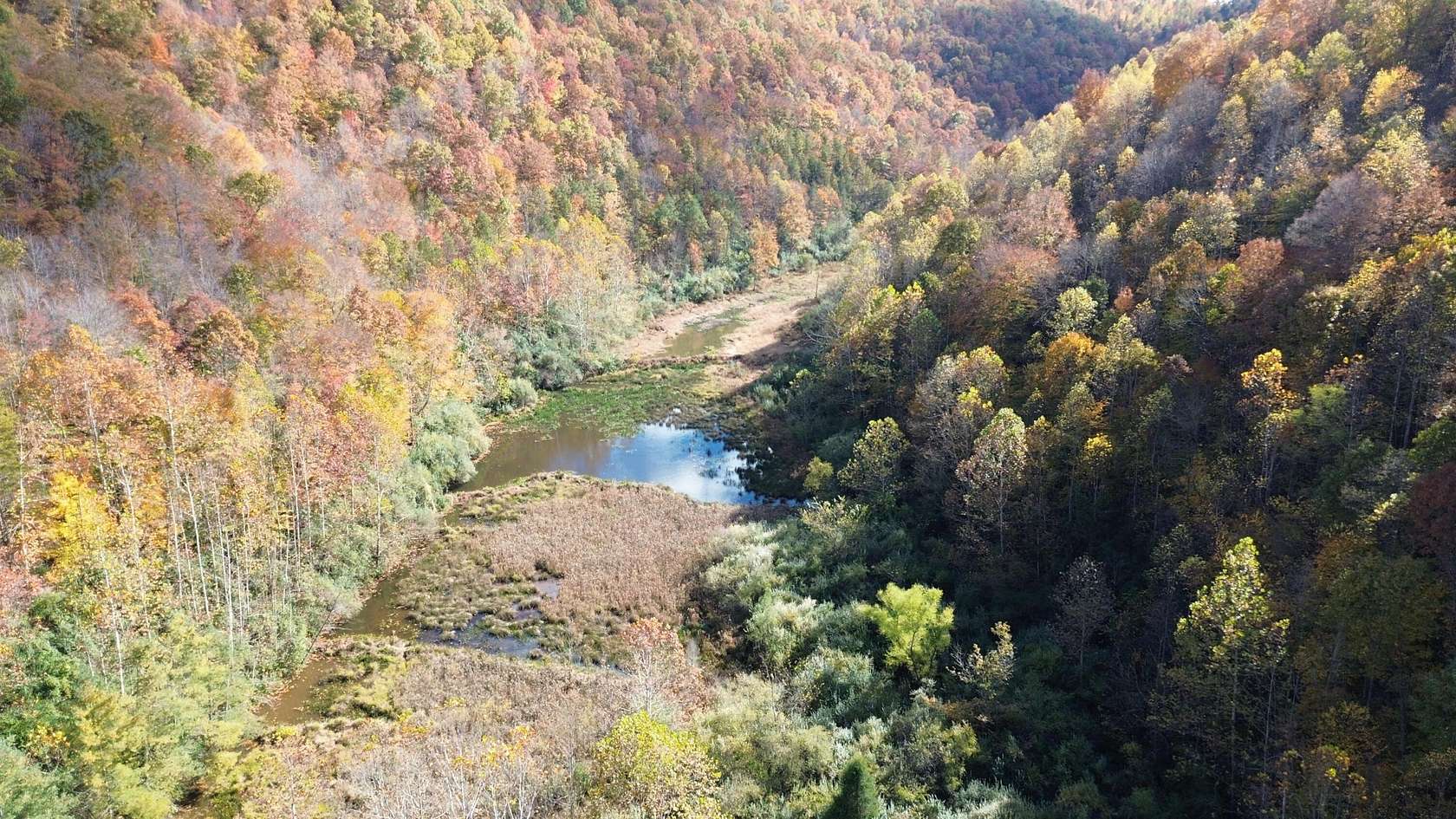 369 Acres of Recreational & Residential Land for Sale in Louisa, Kentucky